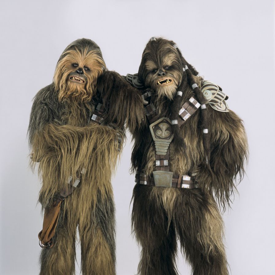 chewbacca and the wookie